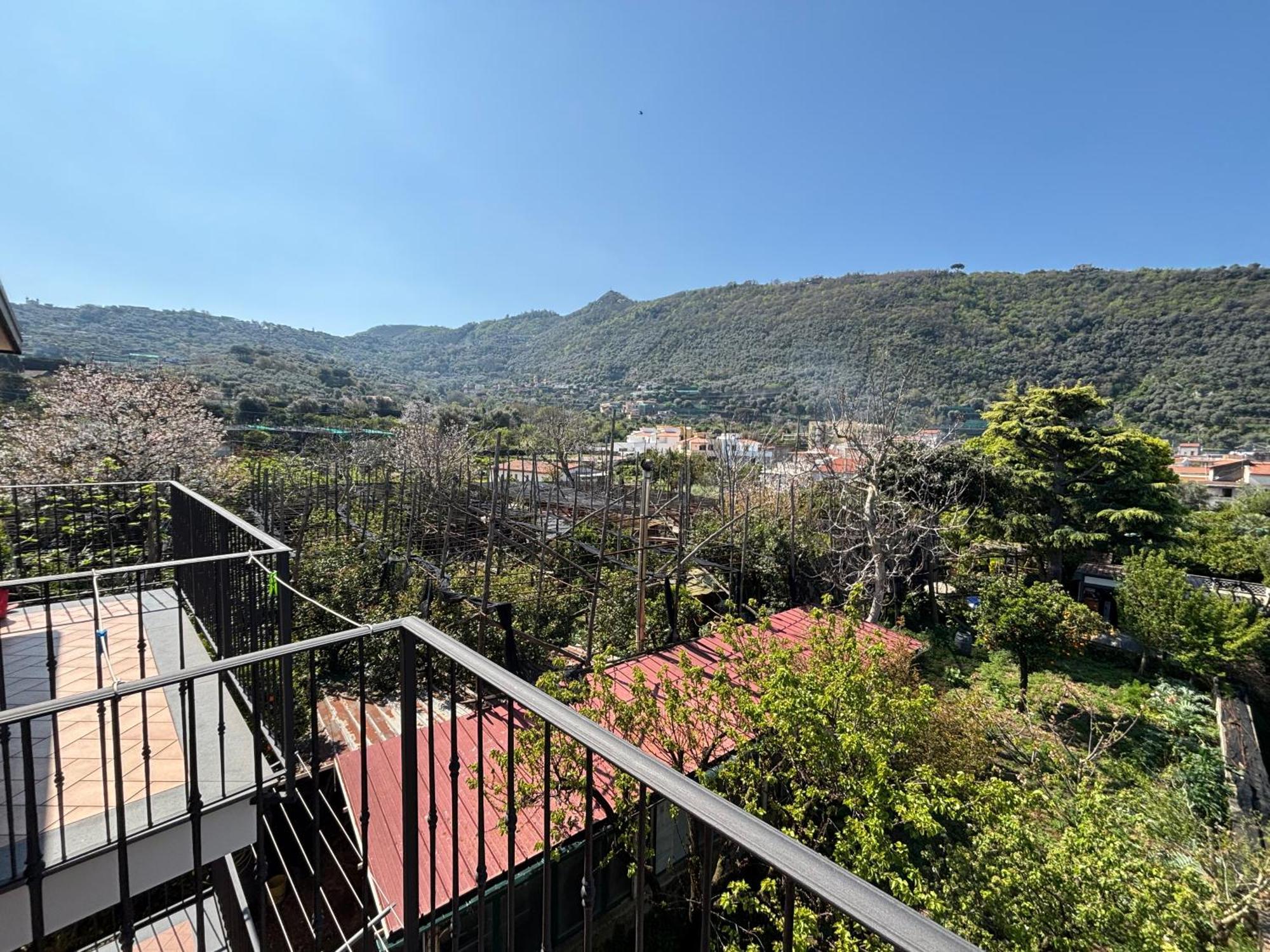 Intero Appartamento A Sant'Agnello , Le Ortensie Exterior foto
